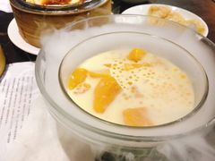 -糖朝(尖沙咀店)