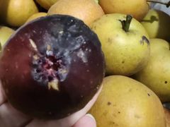 -宾湖农庄·农场特色(太湖龙之梦店)