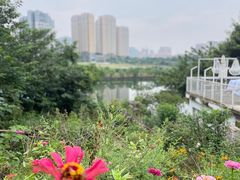 -三圣花乡旅游区