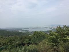 -香雪海
