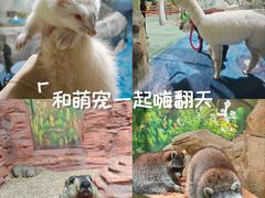 -南昌动物园