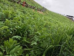 -新疆那拉提国家旅游度假区