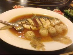 白水鱼-上海老站(徐家汇店)