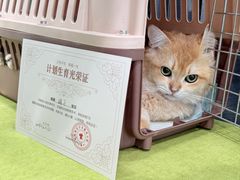 -悦宠动物医院(京丰分院)