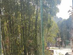 -八分饱·西津会(西津渡店)