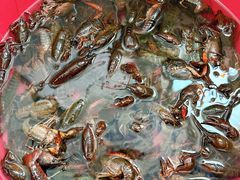 -江杨农产品批发市场