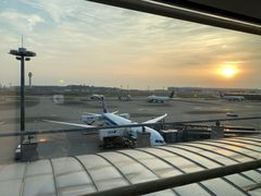 -ANA羽田机场休息室(羽田空港第3ターミナル)