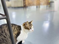 -蓝天射箭馆·专业射箭运动(诚丰广场店)