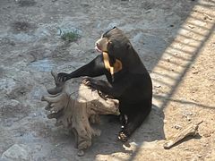 -石家庄市动物园