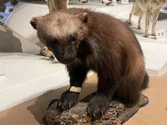 -陕西自然博物馆