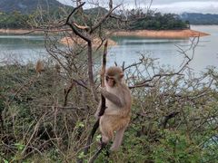 -广州市流溪河国家森林公园