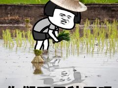 -拾光·小碗甜品