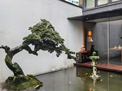 -觀芷隐轩