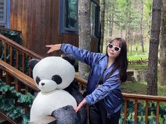 -洛阳白云山景区