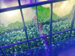 -苏州青少年科技馆