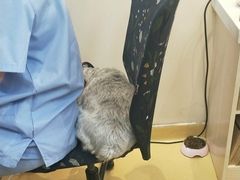 -芭比堂动物医院·犬猫全科·异宠专科(雁塔分院)