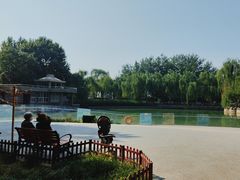 -黄村公园