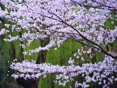 -白塘生态植物园
