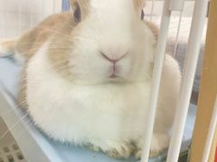 -南蛮子(进贤路店)