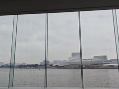 -白天鹅宾馆·月兔吧