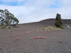 -夏威夷火山国家公园