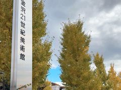 -金泽21世纪美术馆