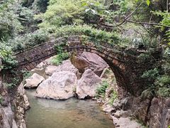 -天台山琼台仙谷景区