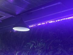 -外滩海鲜烧烤广场(东三旗店)