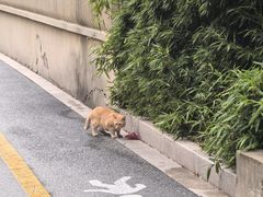 -黄弟大排档·湖南菜·小龙虾·小海鲜(凯旋北路店)