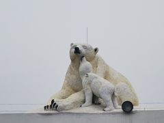 -蓟洲国际滑雪场