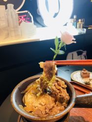-玛莲朵·海菲秀冰珀科