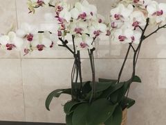 -诸暨同方豪生大酒店
