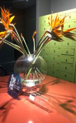 -奈瑞儿美颜美养SPA