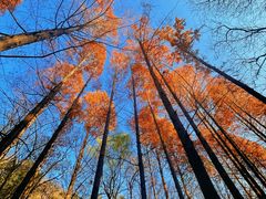 -国家植物园南园