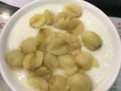 -义顺牛奶公司(庇利金街店)