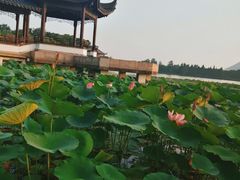 -云龙湖旅游景区