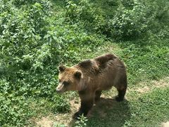 -西安秦岭野生动物园