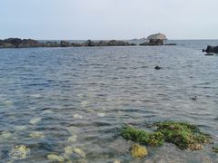 -养马岛旅游度假区