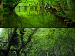 -西溪南古村落景区