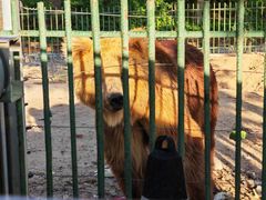 -秦皇岛野生动物园