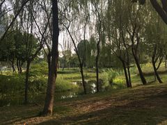 -海珠儿童公园