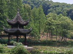 -忠山公园