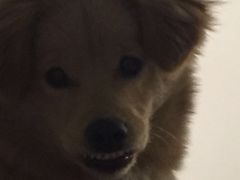 -添福来墨鱼饺子 · 海鲜东北菜(大连星海·黄浦路店)