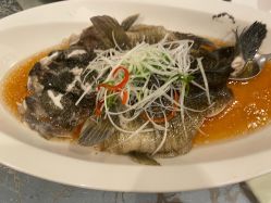 -上海明天广场JW万豪酒店·宴会厅