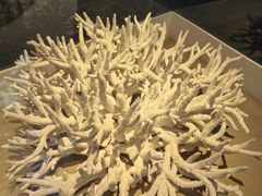 -天津自然博物馆