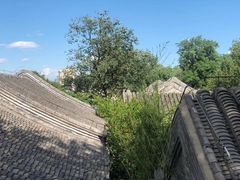 -自如ZSPACE四合院艺术餐厅
