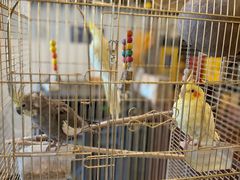 -潇湘·永州会馆(百子湾店)