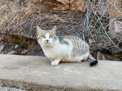 -崂山九水游览区