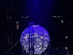 -广州长隆国际大马戏