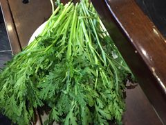 -丁月玉兔王(大渡口店)